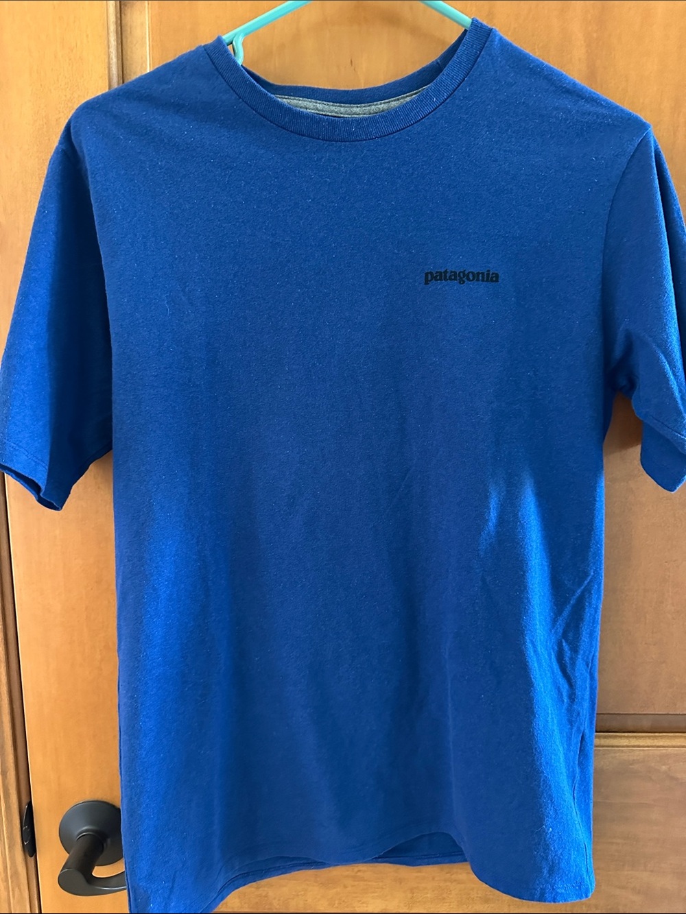 Patagonia Men’s Fitz Roy Bison Responsibili-Tee Shirt Blue S 🦬